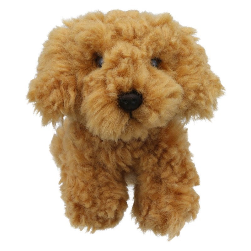 Cockapoo - Wilberry Minis
