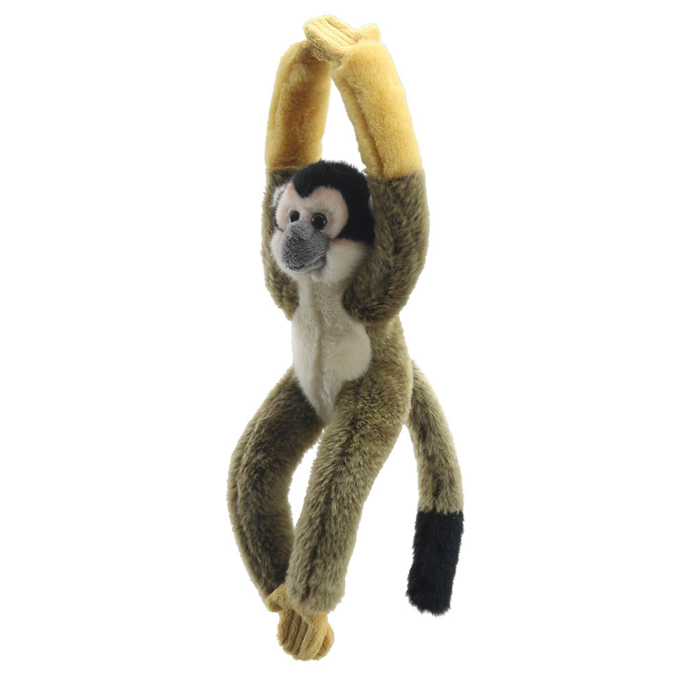 Squirrel Monkey - Canopy Climbers