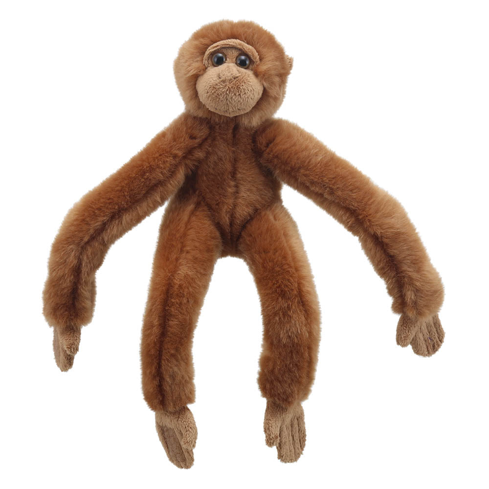 Orangutan - Canopy Climbers
