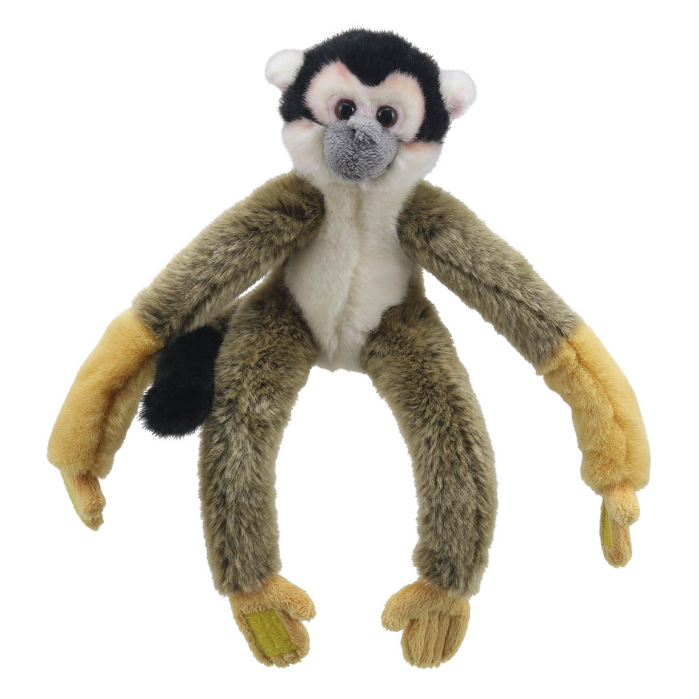 Squirrel Monkey - Canopy Climbers
