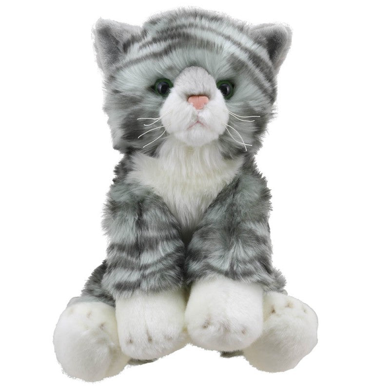Wilberry Tabby Cat