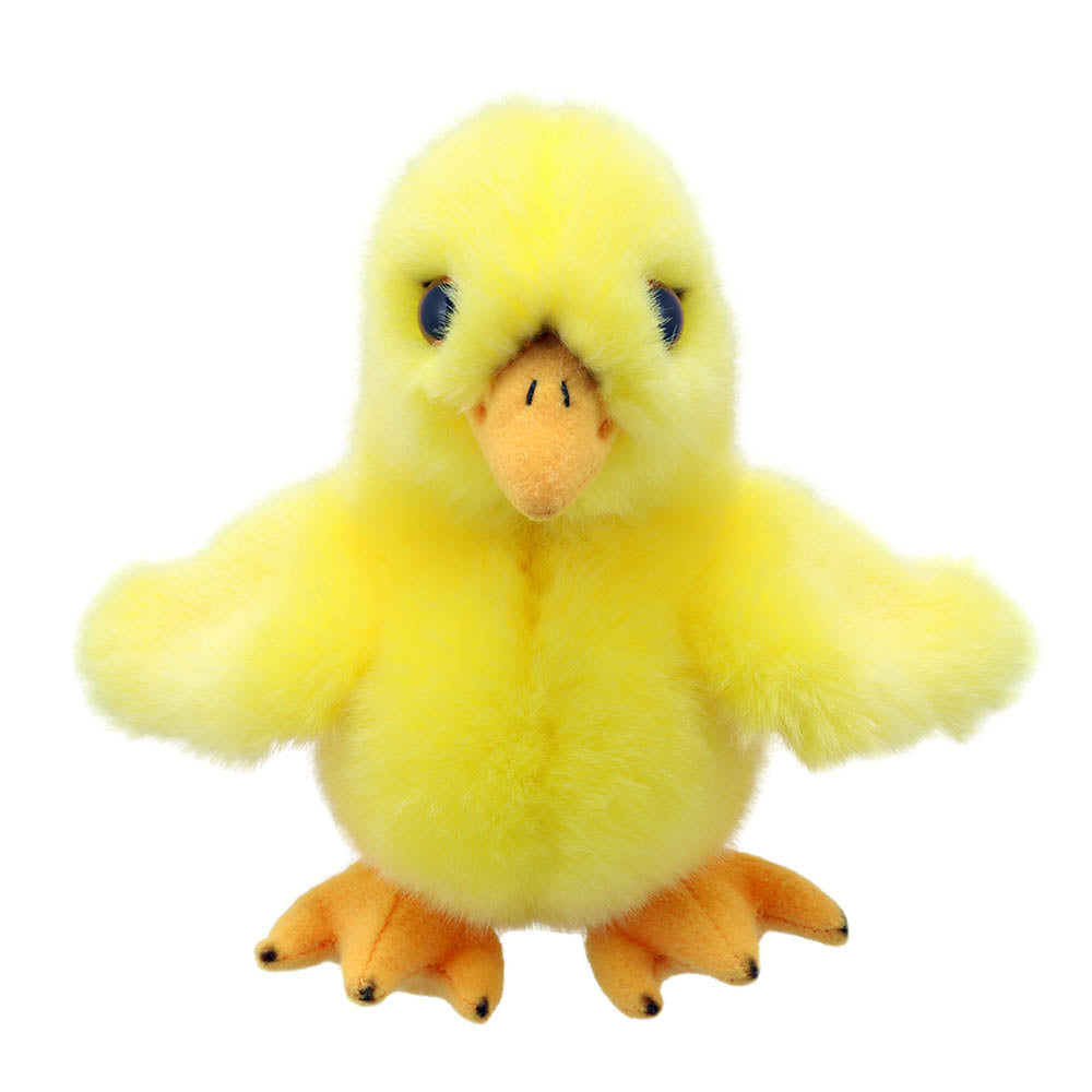 Chick – Wilberry Minis