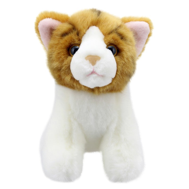 Cat - Gold Stripe - Wilberry Mini's