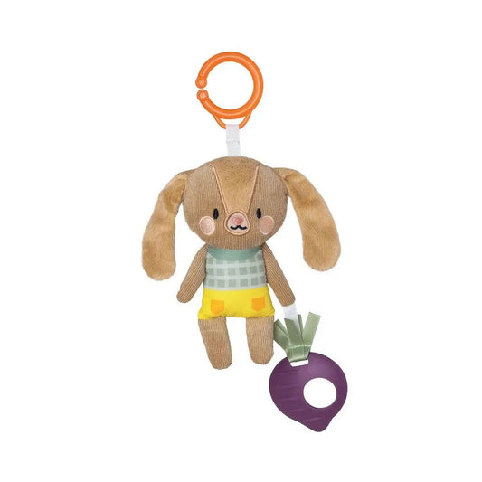 Jenny the Bunny