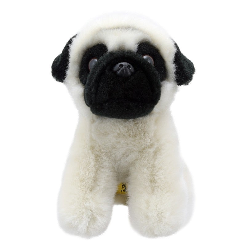 Pug - Wilberry Mini's