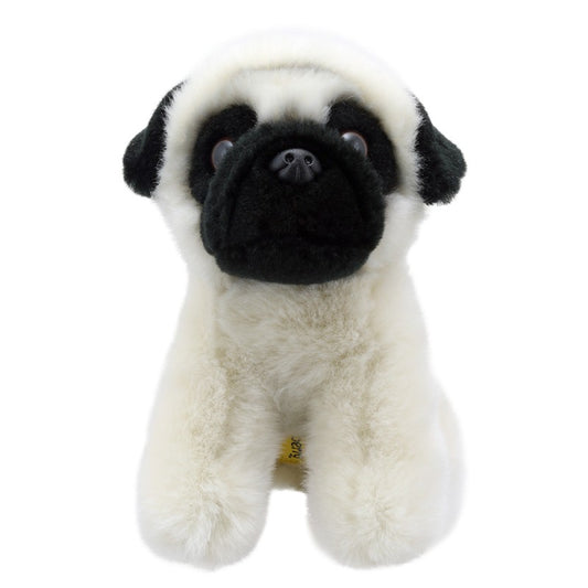 Pug - Wilberry Mini's