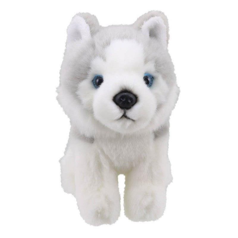Husky - Wilberry Minis