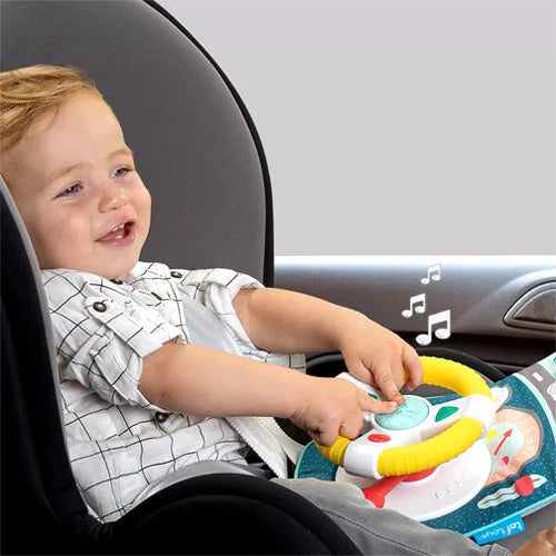 Koala Car Wheel