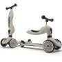 Scoot and Ride Highway Kick 1 Ash