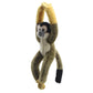 Squirrel Monkey - Canopy Climbers