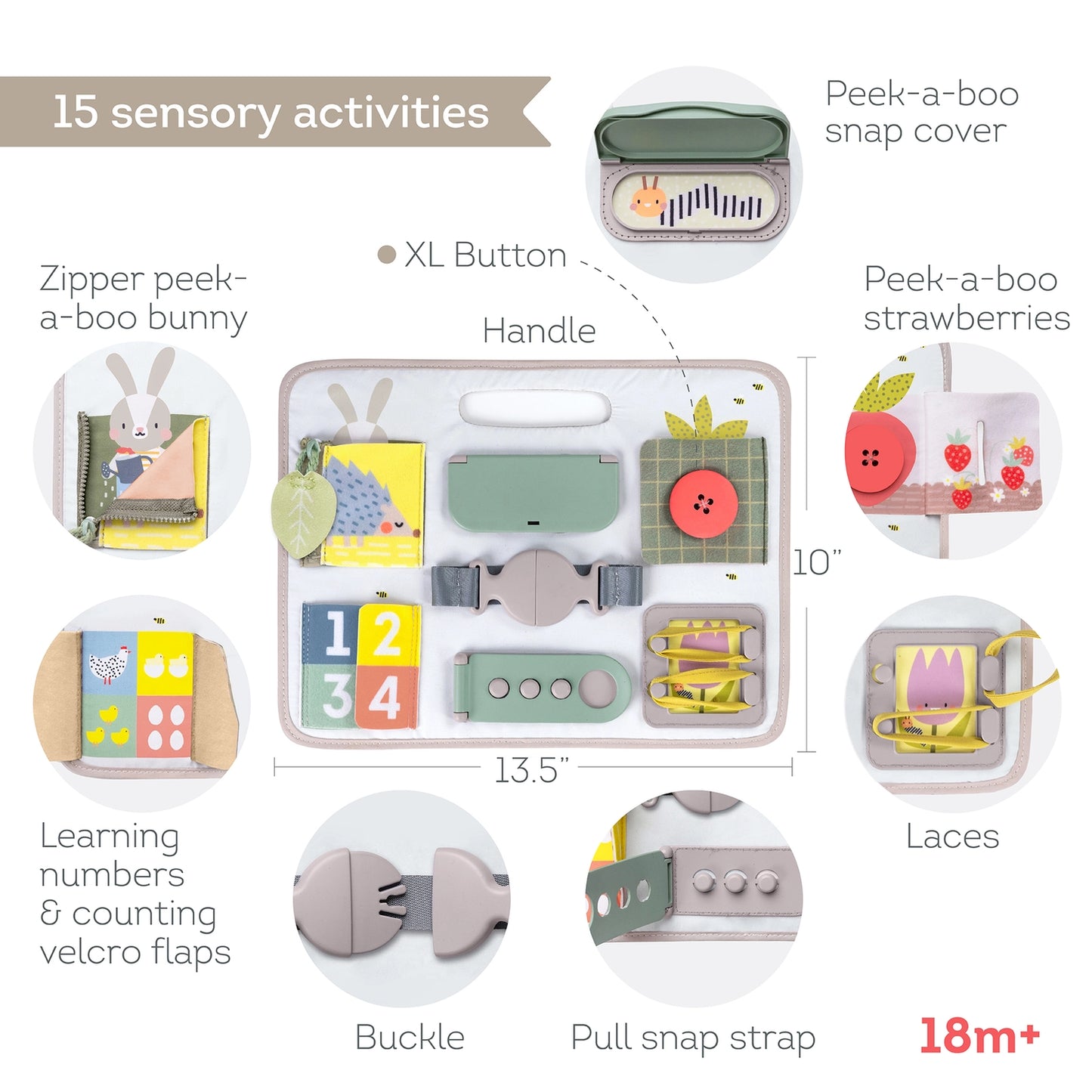 Taf Toys Activity Buckle Board