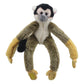Squirrel Monkey - Canopy Climbers