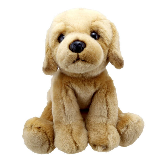 Labrador (Yellow) - Wilberry Favourites