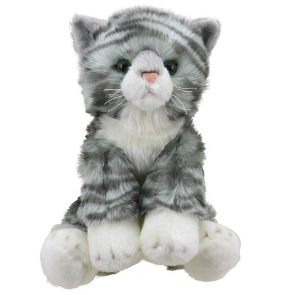 Wilberry Tabby Cat