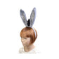 Donkey Ears with Tail Dress Up Set