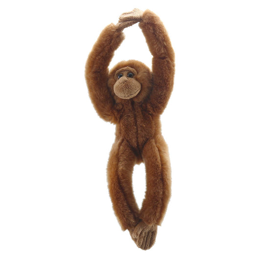 Orangutan - Canopy Climbers