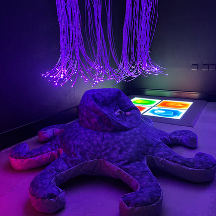 Sensory Room