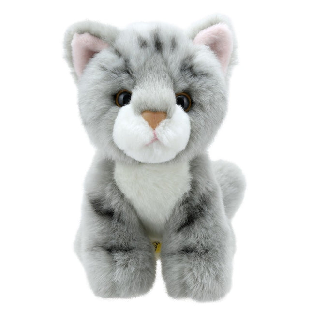 Cat - Grey Stripe - Wilberry Mini's
