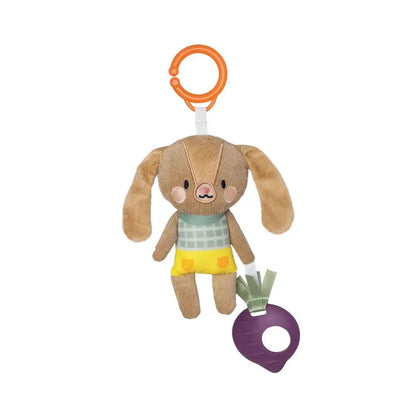 Jenny the Bunny