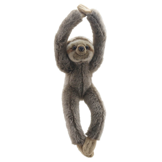Sloth - Canopy Climbers
