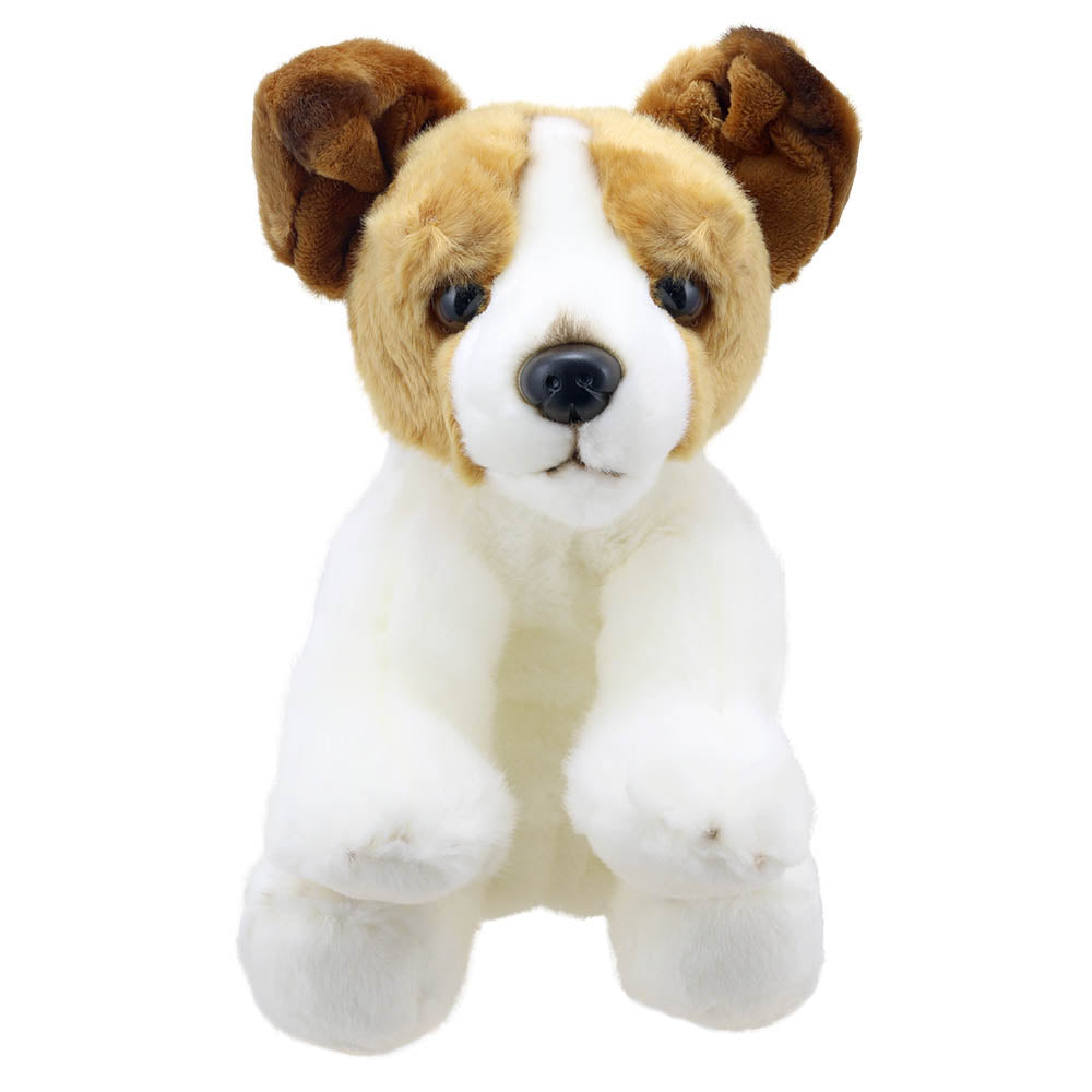 Wilberry Jack Russell Terrier