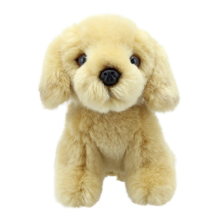 Labrador - Yellow - Wilberry Mini's
