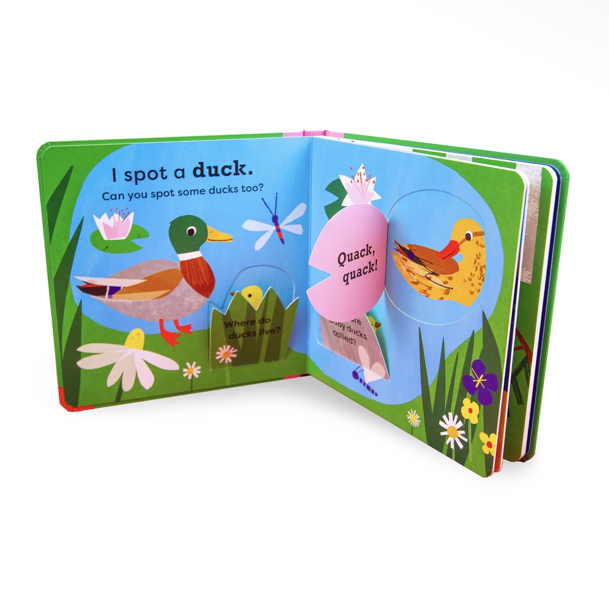 My Very First Spotter’s Guide: I spot a Duck