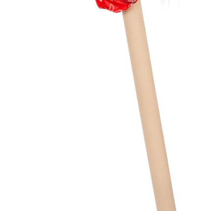 Hobby Horse "Rocky